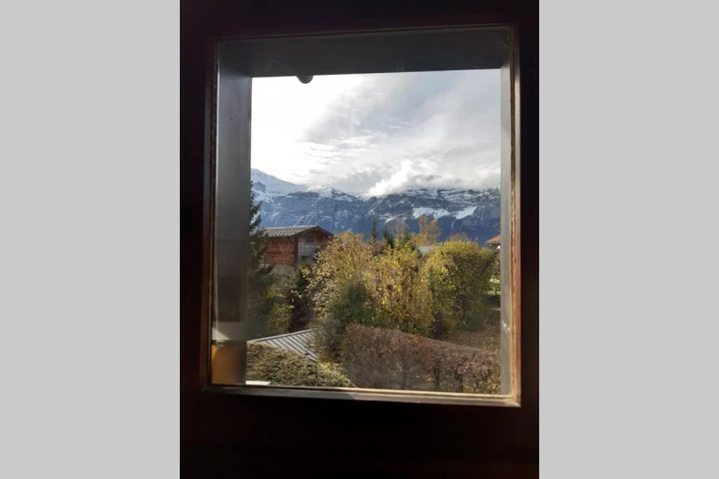 Eden Roc Grand Massif Appartement Les Carroz d'Araches Buitenkant foto