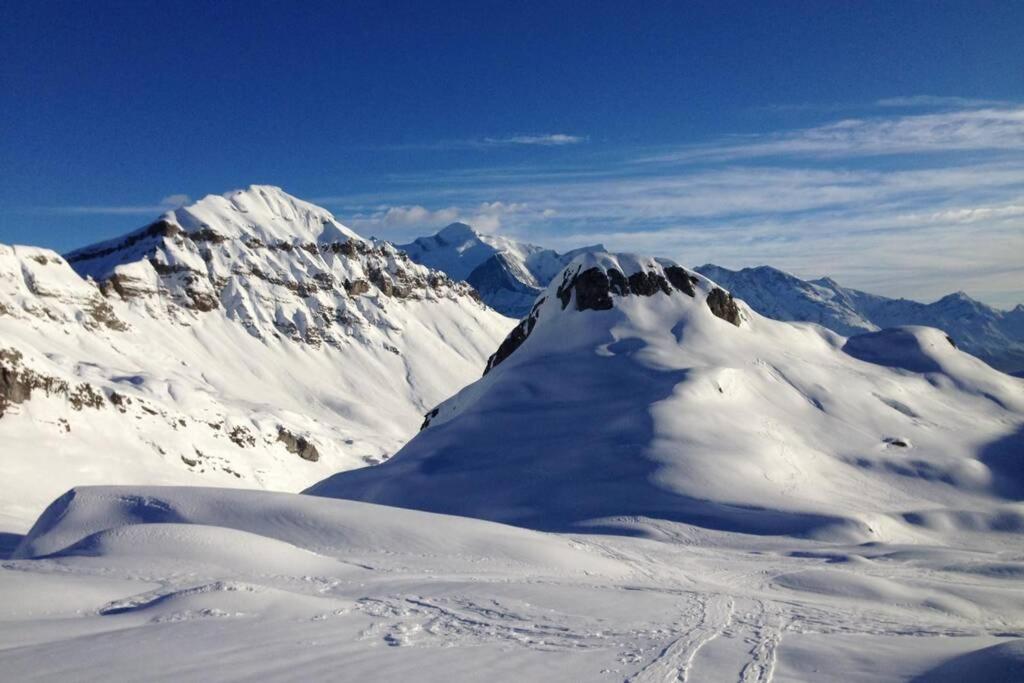Eden Roc Grand Massif Appartement Les Carroz d'Araches Buitenkant foto