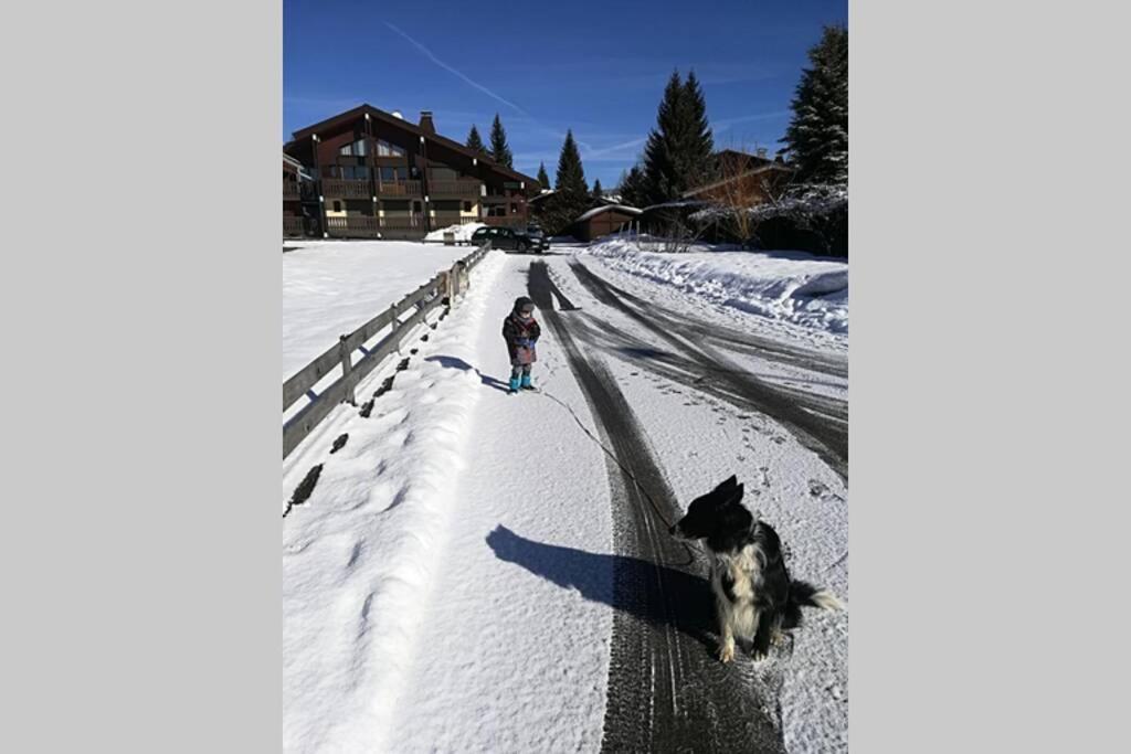 Eden Roc Grand Massif Appartement Les Carroz d'Araches Buitenkant foto